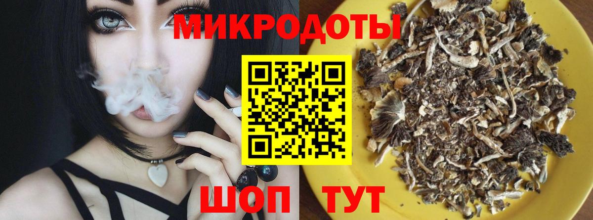 Галлюциногенные грибы GOLDEN TEACHER  Вход с VPN  Междуреченск 